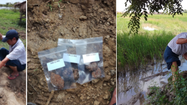 Composite photos of B. pseudomallei field study in Myanmar