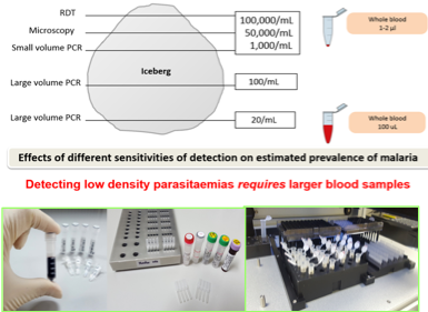A diagram showing effects of different sensitivities on estimated prevalence of malaria and two pictures showing that detecting low density parasitaemias requires larger blood samples.