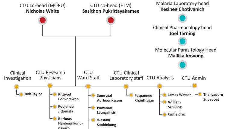https://www.tropmedres.ac/units/moru-bangkok/clinical-therapeutics-unit-ctu/our-team/ctu-organisation-chart