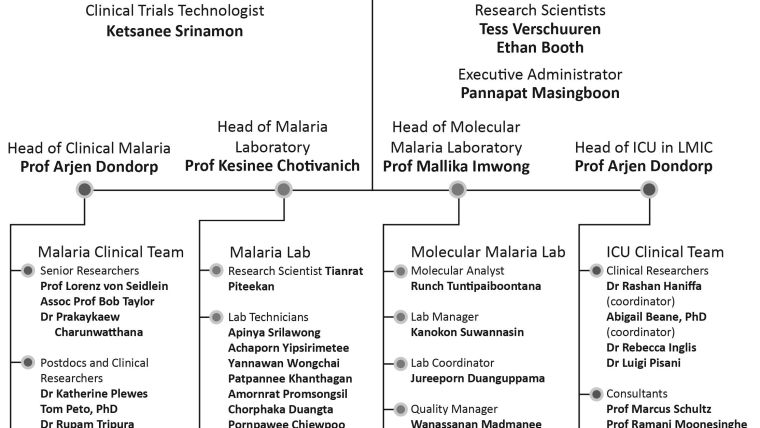 https://www.tropmedres.ac/units/moru-bangkok/malaria/our-team/malaria-critical-illness-organisation-chart